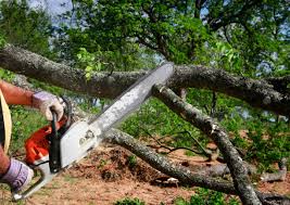 Best Soil Testing and Treatment  in Winfield, WV